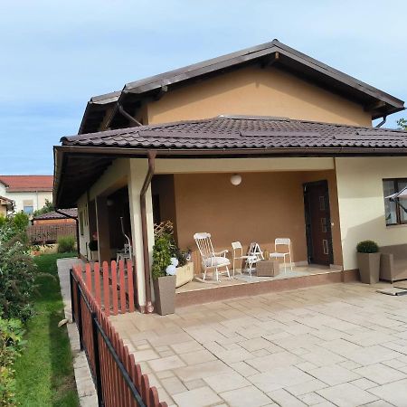 Luxury Airport Retreat Leilighet Cluj-Napoca Eksteriør bilde
